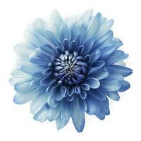 Blue flower isolated on white background, png with transparency , generate ai photo