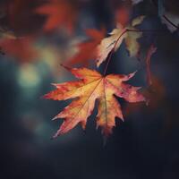 autumn maple leaves in a row, vivid colors, panorama illustration on black background photo