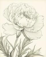 Beautiful painted flower sketch , generate ai photo