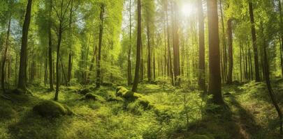 hermosa rayos de luz de sol en un verde bosque, generar ai foto