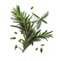 Fresh green organic rosemary leaves and pepper isolated on white background. natural transparent shadow, Ingredient, spice for cooking. collection for design, generate ai photo