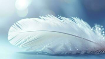 a bright blue background with one white feather, in the style of soft and dreamy pastels, glimmering light effects, nature inspired imagery, fairycore, soft focal points, generate ai photo