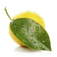 Citrus Lemon leaf with water drops isolated on white background, generate ai photo
