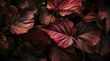 artístico vistoso roble otoño temporada hojas fondo, generar ai foto