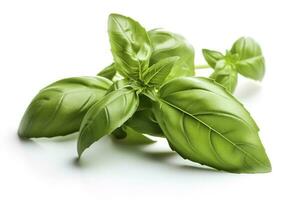 Fresh green organic basil and rosemary leaves isolated on white background. With clipping path, generate ai photo