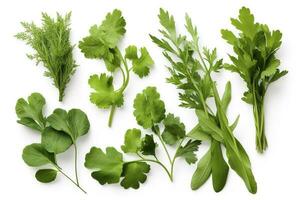 Collection of fresh herb leaves. arugula Spices, herbs on isolated on white background, generate ai photo