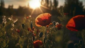 A stunning photo captures the golden hour in a field of radiant red poppies, symbolizing the beauty, resilience, and strength of nature, generate ai