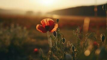 A stunning photo captures the golden hour in a field of radiant red poppies, symbolizing the beauty, resilience, and strength of nature, generate ai