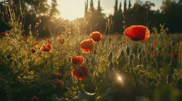 un maravilloso foto capturas el dorado hora en un campo de radiante rojo amapolas, simbolizando el belleza, resiliencia, y fuerza de naturaleza, generar ai