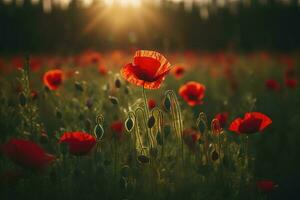 Anzac Day memorial poppies. Field of red poppy flowers to honour fallen veterans soldiers in battle of Anzac armistice day. Wildflowers blooming poppy field landscape, generate ai photo