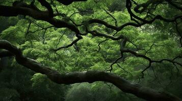 tierra día y mundo ambiente día, primavera, tropical árbol hojas y rama con hermosa verde bosque fondo, generar ai foto