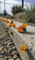 algunos flores son forrado arriba en el lado de un camino, en el estilo de brutalista, Pato centro, Mancha medida, concreto, naranja, pradera centro, reciclado, generar ai foto