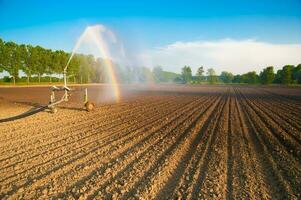 Water jet to irrigate agricultural fields photo