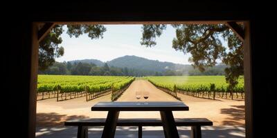 View of vineyard from a wooden table photo