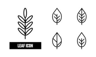 Leaf Lineal Icon Symbol Vector. Black Outline Leaf Icon vector
