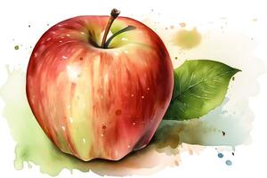 Watercolor painting of ripe apple on white background. . photo