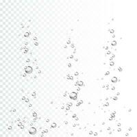 Air bubbles stream. Soapy bubbles. Realistic water drops. Vector