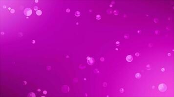 Pink bubble background video