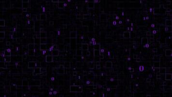 binary purple color abstract box pattern dark technology background video