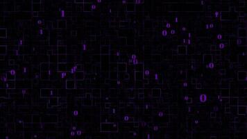 binary purple color abstract box pattern dark technology background video