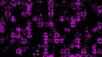 Rosa Farbe abstrakt kreisförmig Elemente Hintergrund video