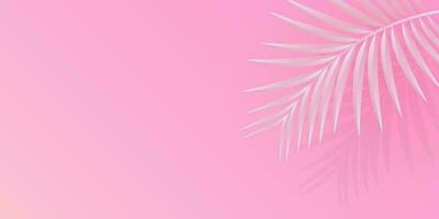 Palm tree background pink and white. Horizontal orientation, copy space. Vector design.