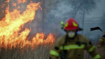 Feu un camion et sapeurs pompiers combat incendies video