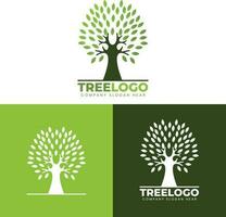 diseño de logotipo de árbol vector