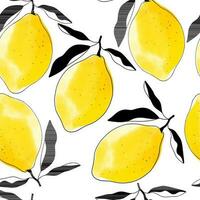 Seamless pattern with watercolor lemons. Black linear graphic citrus print on white background vector