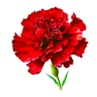 rödbrun blomma png bilder ai generativ
