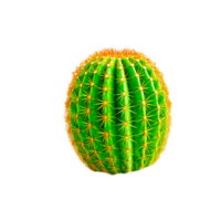 main peint cactus png ai génératif