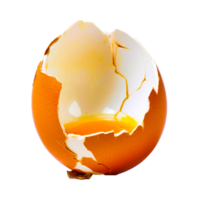 World Egg Day images png