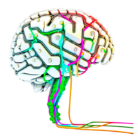 color dibujos animados cerebro png ai generativo