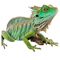 verde animais selvagens lagarto, galhos, selvagem animais, camaleão png ai generativo