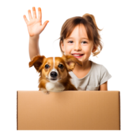 Brown puppy in a box png
