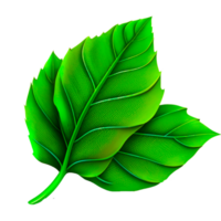 Round Leaf PNG Ai Generative
