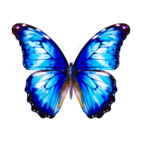 Visit Save From hiclipart.com Full, six flying Monarch butterflies transparent background png