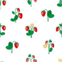 Seamless pattern with growing strawberries. Ripe berry with leaves. Vector graphics.