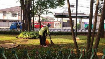 Pasar Minggu Kabupaten Jakarta Selatan Indonesia 2023 City Park Janitor Cleaning The Park In The Morning video