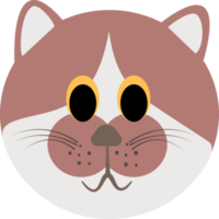 il gatto personaggio png impostato design illustrazione