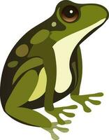 Isolated Green Frog Icon In Flat Style. vector