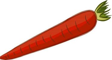 Illustration of a carrot. vector