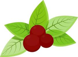 Illustration of red berries with green leaves. vector