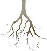 Flat illustration of roots. vector