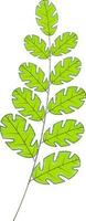 Illustration of green leaves. vector