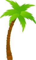 Glossy green coconut tree on white background. vector