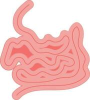 Small Intestine Icon In Flat Style. vector