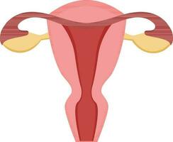 Isolated Female Reproductive System Icon In Flat Style. vector