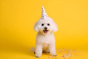 contento bichón frise perro en un fiesta sombrero con papel picado en amarillo antecedentes con Copiar espacio. ai generado. foto