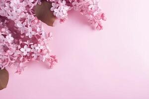 Lilac flowers and leaves on light pink background with copy space, top view. . photo